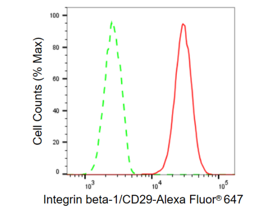[KD Validated] Anti-ITGB1 Rabbit mAb [32D38S60]
