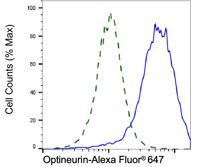[KD Validated] Anti-OPTN Rabbit mAb [83S59L41]