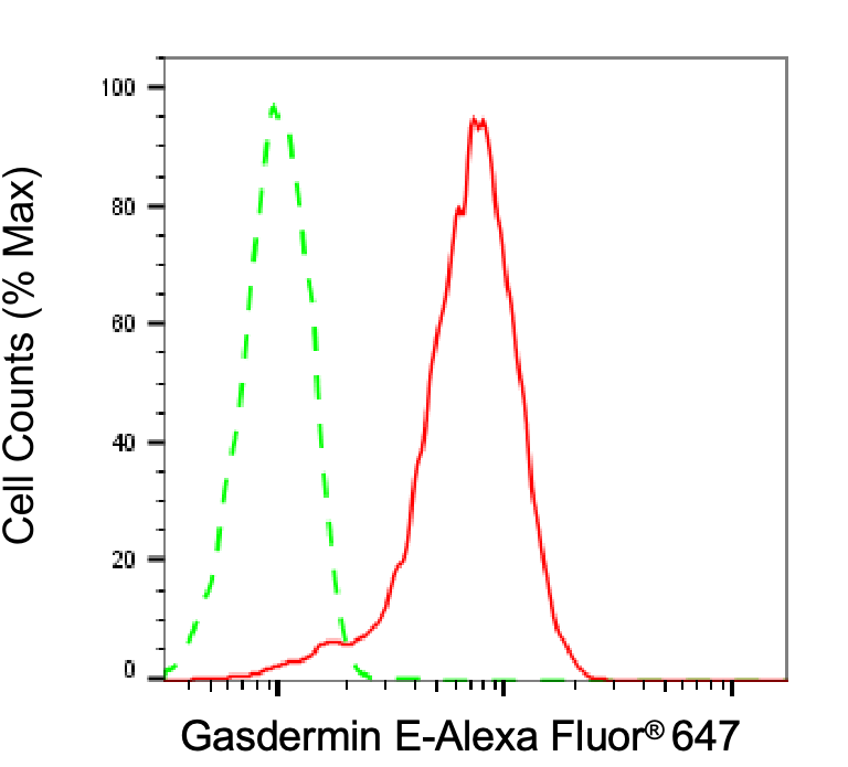 [KD Validated] Anti-GSDME Rabbit mAb [25L82A81]