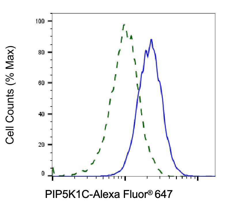 [KD Validated] Anti-PIP5K1C Rabbit mAb [30Q95L94]