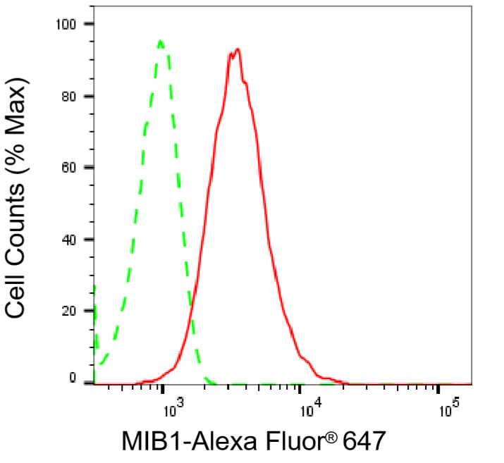 [KD Validated] Anti-MIB1 Rabbit mAb [93Q53R23]