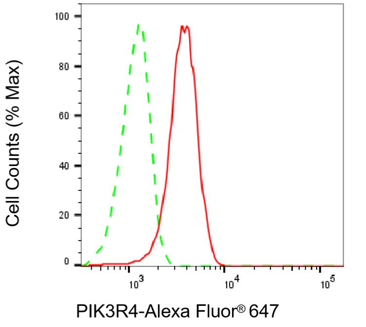 [KD Validated] Anti-PIK3R4 Rabbit mAb [75B09R38]