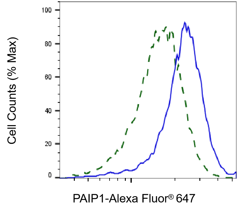 [KD Validated] Anti-PAIP1 Rabbit mAb [53P11T68]
