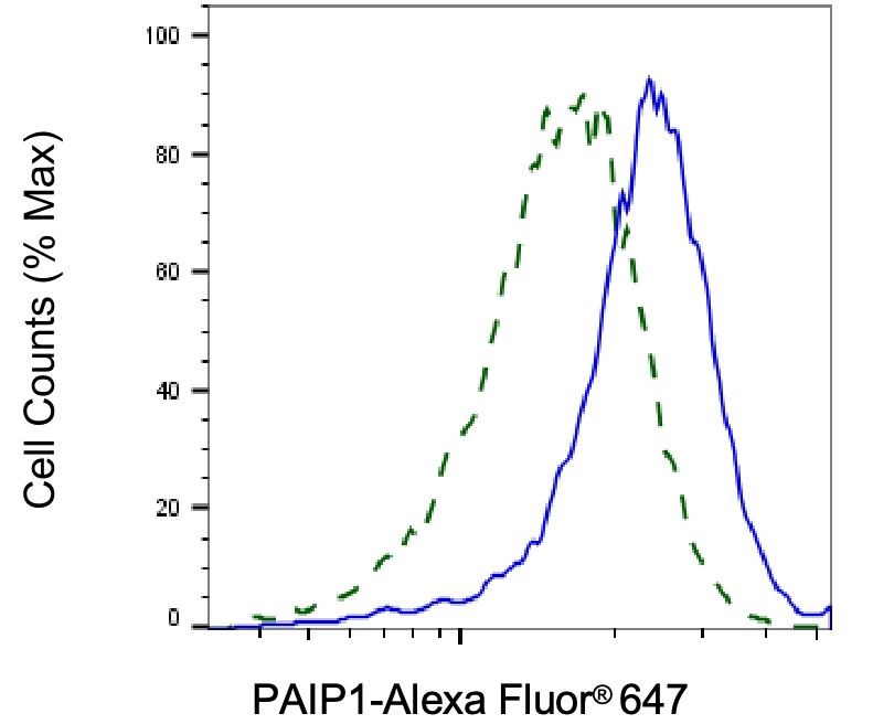 [KD Validated] Anti-PAIP1 Rabbit mAb [53P11T68]