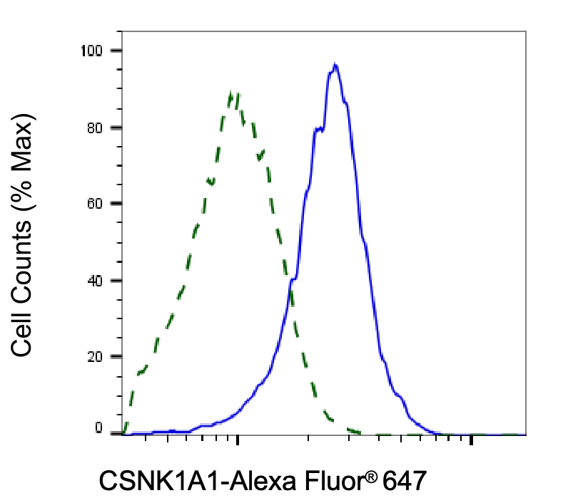 [KD Validated] Anti-CSNK1A1 Rabbit mAb [97R45O53]