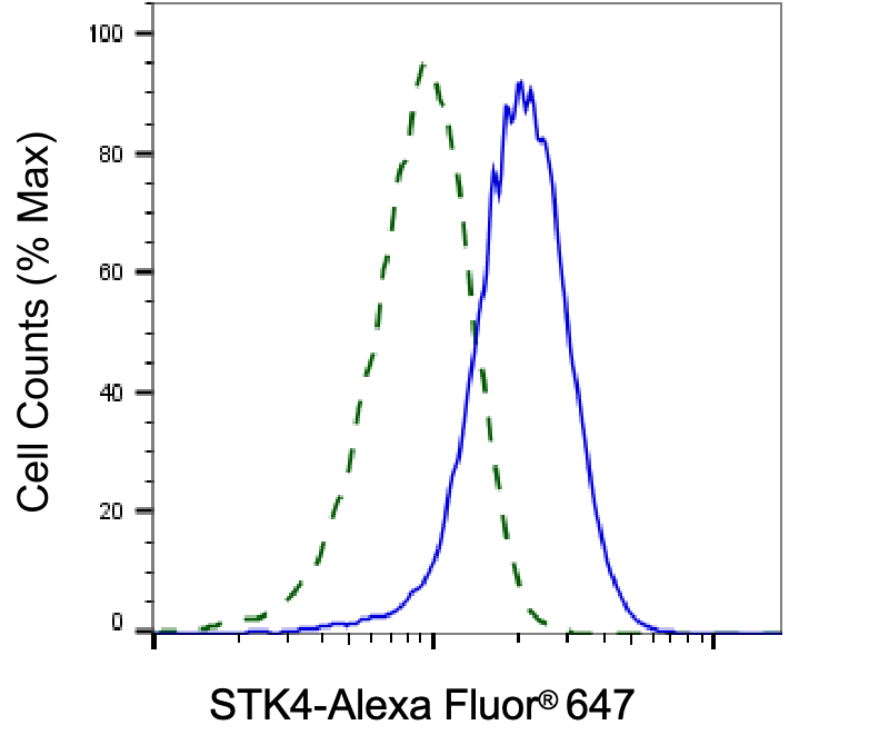 [KD Validated] Anti-STK4 Rabbit mAb [43M50R67]