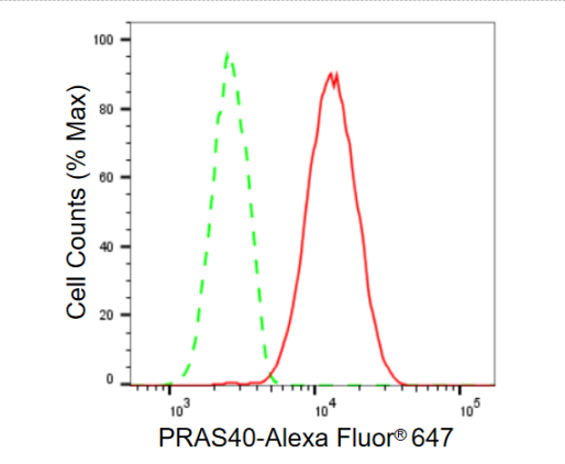 [KD Validated] Anti-AKT1S1 Rabbit mAb [90J10R96]
