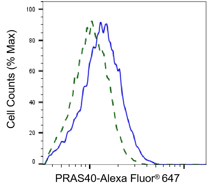 [KD Validated] Anti-AKT1S1 Rabbit mAb [90J10R96]