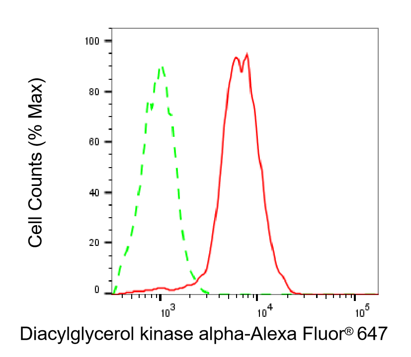 [KD Validated] Anti-DGKA Rabbit mAb [60N96D52]