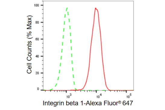 [KD Validated] Anti-ITGB1 Rabbit mAb [72A37B80]