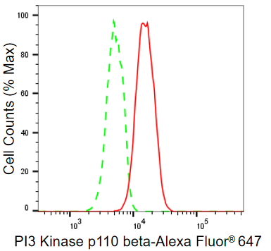 [KD Validated] Anti-PIK3CB Rabbit mAb [72N66Q59]