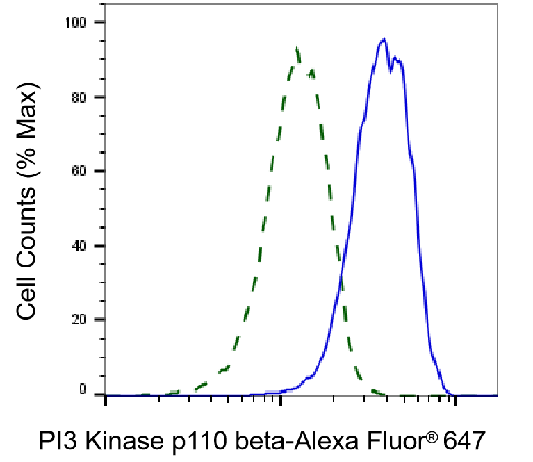 [KD Validated] Anti-PIK3CB Rabbit mAb [72N66Q59]