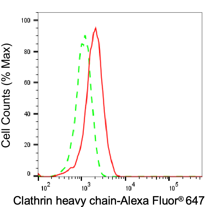 [KD Validated] Anti-CLTC Rabbit mAb [88B48T31]