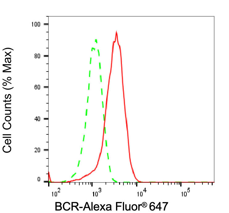 [KD Validated] Anti-BCR Rabbit mAb [29E06S36]