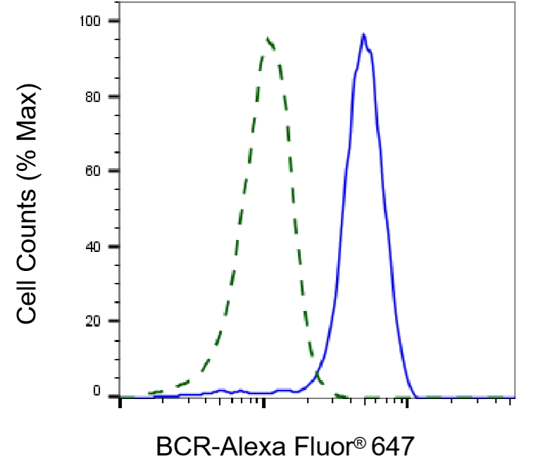 [KD Validated] Anti-BCR Rabbit mAb [29E06S36]