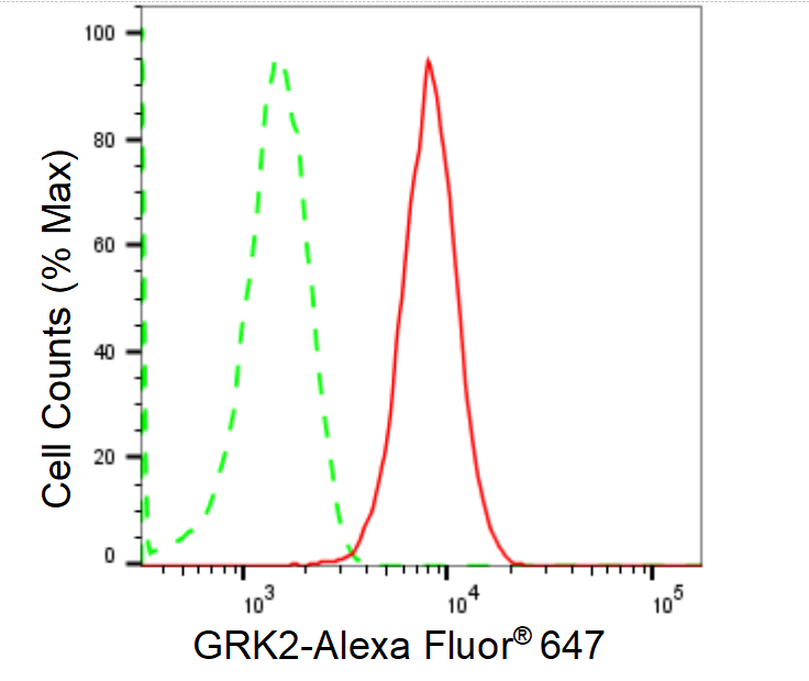 [KD Validated] Anti-GRK2 Rabbit mAb [71G89N11]