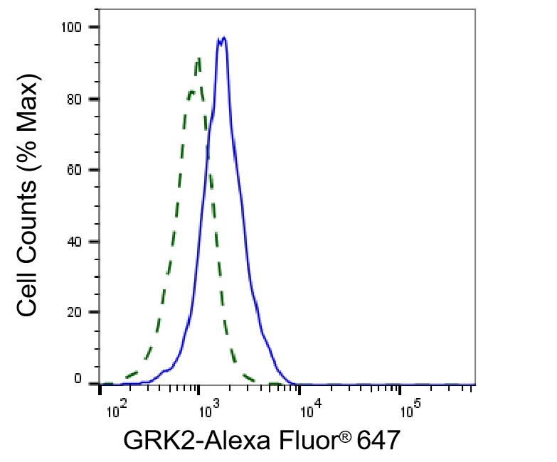 [KD Validated] Anti-GRK2 Rabbit mAb [71G89N11]