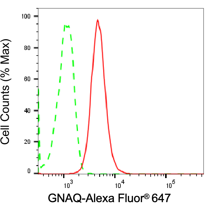 [KD Validated] Anti-GNAQ Rabbit mAb [11S48E33]