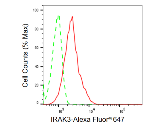 [KD Validated] Anti-IRAK3 Rabbit mAb [96O74D51]