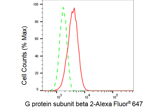 [KD Validated] Anti-GNB2 Rabbit mAb [11J12T61]