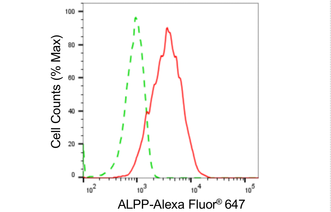 [KD Validated] Anti-ALPP Rabbit mAb [27A48Q79]