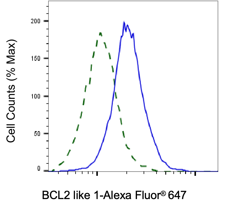 [KD Validated] Anti-BCL2L1 Rabbit mAb [92K29E58]