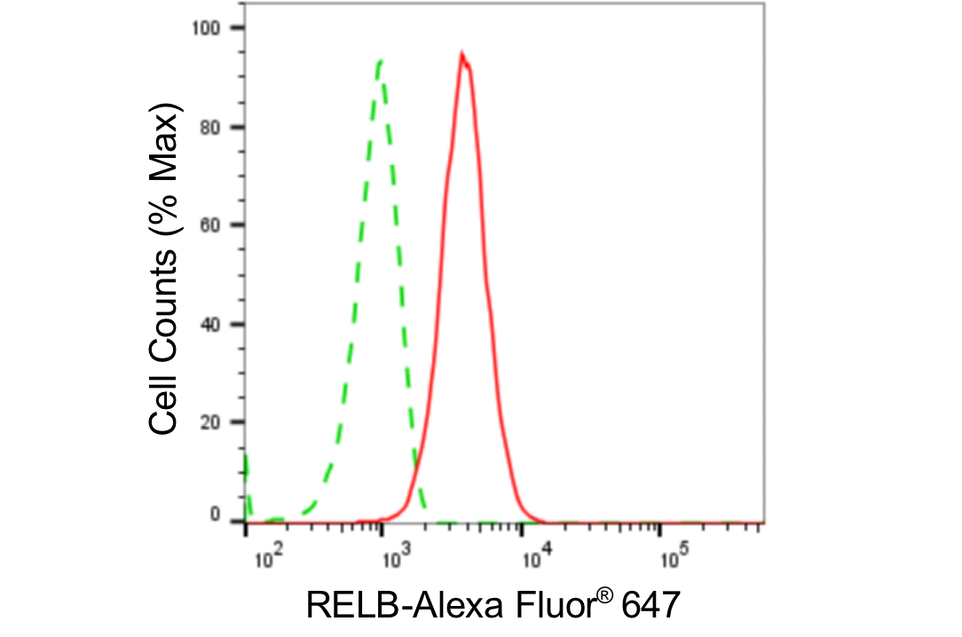 [KD Validated] Anti-RELB Rabbit mAb [20H12C30]