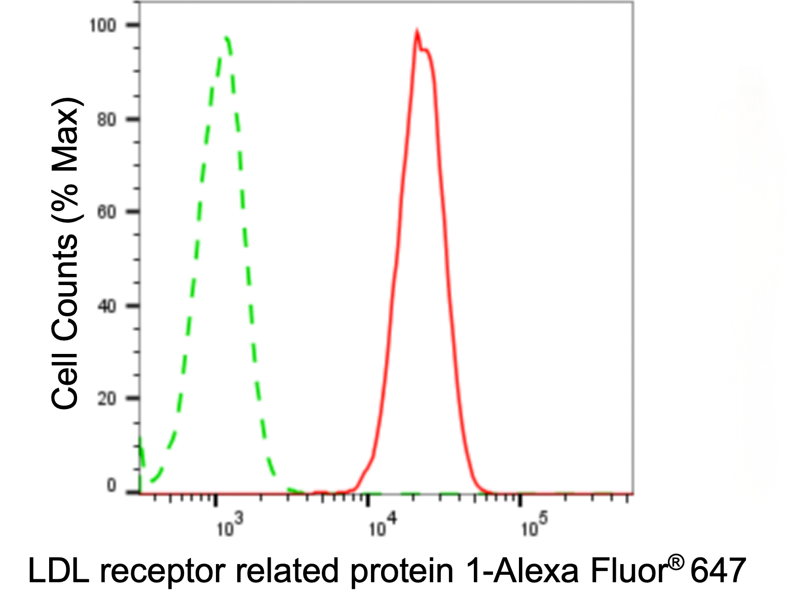 [KD Validated] Anti-LRP1 Rabbit mAb [59S81S22]