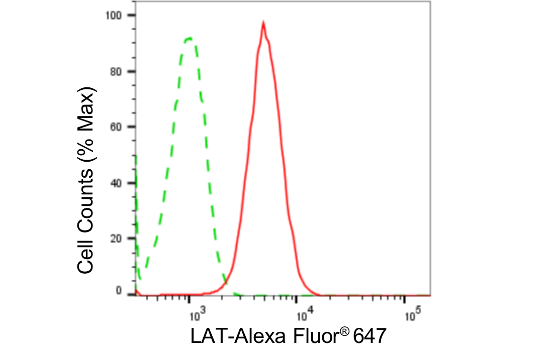 [KD Validated] Anti-LAT Rabbit mAb [50R44L59]