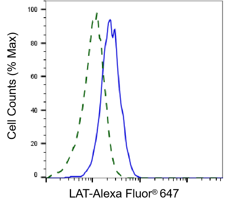 [KD Validated] Anti-LAT Rabbit mAb [50R44L59]