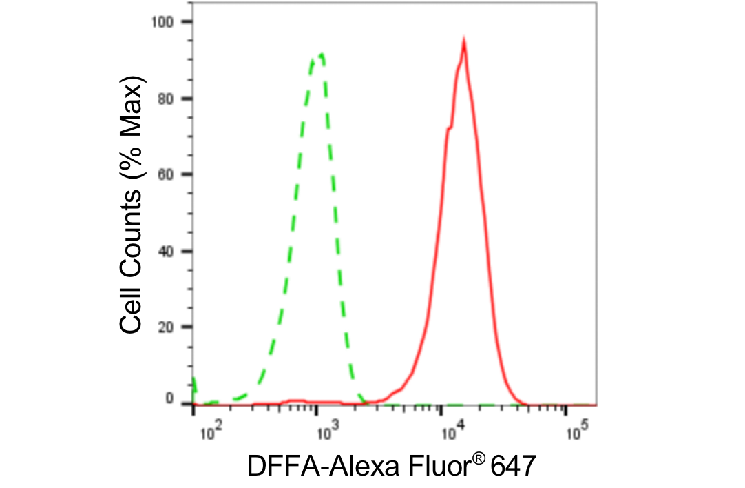 [KD Validated] Anti-DFFA Rabbit mAb [93G79T78]
