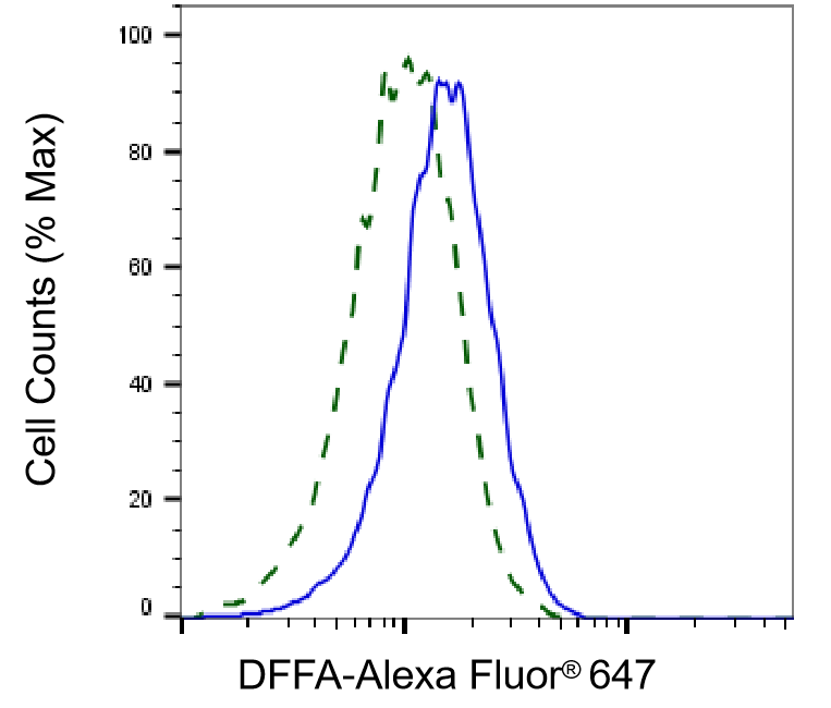 [KD Validated] Anti-DFFA Rabbit mAb [93G79T78]
