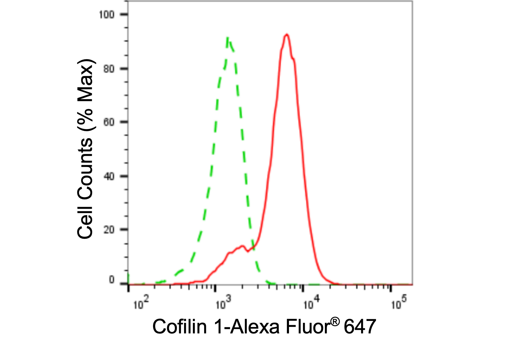 [KD Validated] Anti-CFL1 Rabbit mAb [21C99S85]