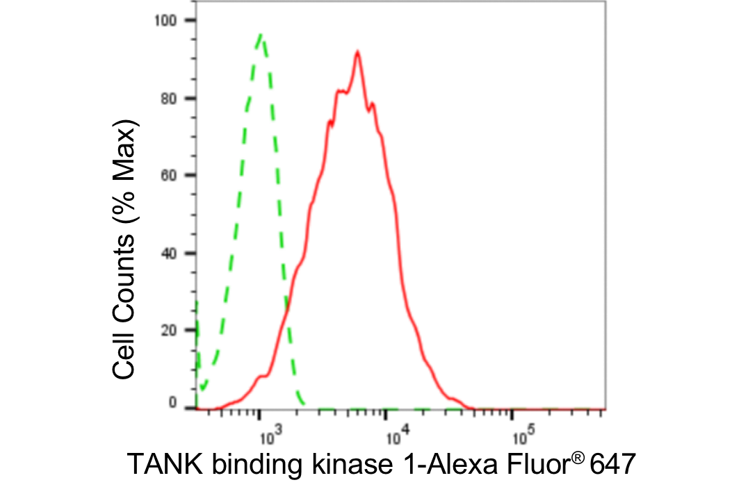 [KD Validated] Anti-TBK1 Rabbit mAb [79M94A45]