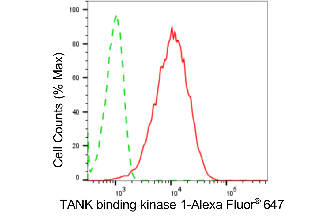 [KD Validated] Anti-TBK1 Rabbit mAb [72K29C17]