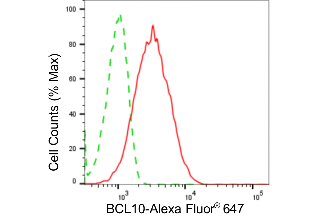 [KD Validated] Anti-BCL10 Rabbit mAb [15S14M18]