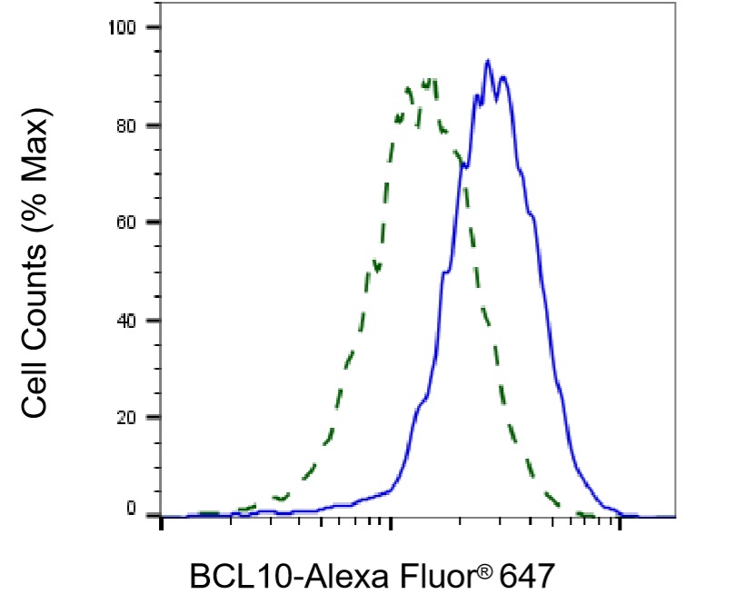 [KD Validated] Anti-BCL10 Rabbit mAb [15S14M18]