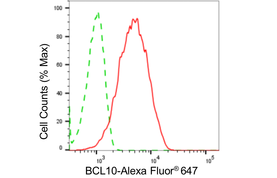 [KD Validated] Anti-BCL10 Rabbit mAb [78T30S26]