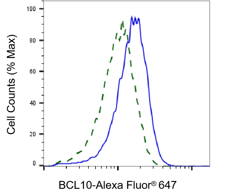 [KD Validated] Anti-BCL10 Rabbit mAb [78T30S26]