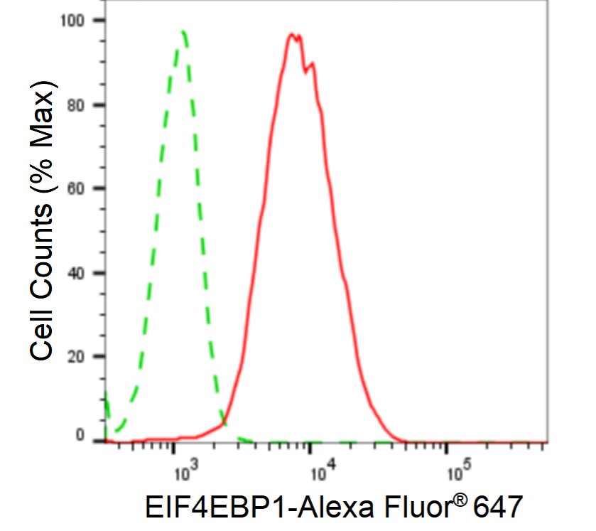 [KD Validated] Anti-EIF4EBP1 Rabbit mAb [70Q26M66]