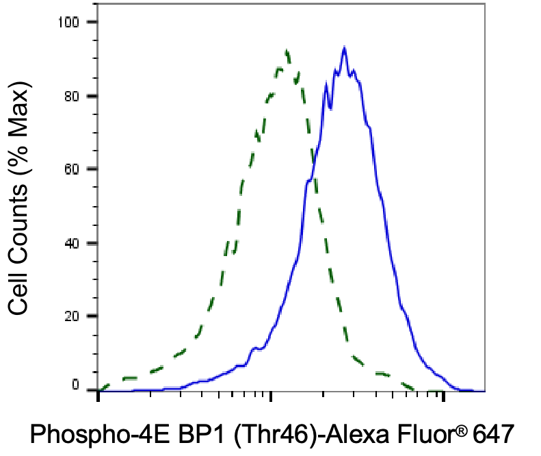 [KD Validated] Anti-EIF4EBP1 Rabbit mAb [21S74P12]