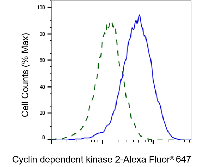 [KD Validated] Anti-CDK2 Rabbit mAb [15T98S64]