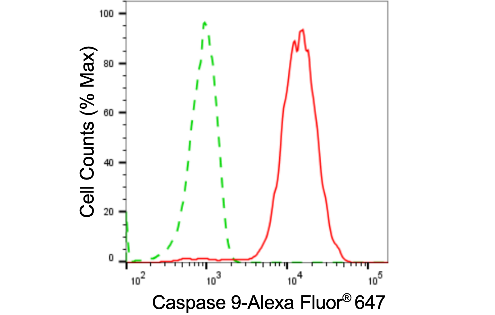 [KD Validated] Anti-CASP9 Rabbit mAb [36T25D03]