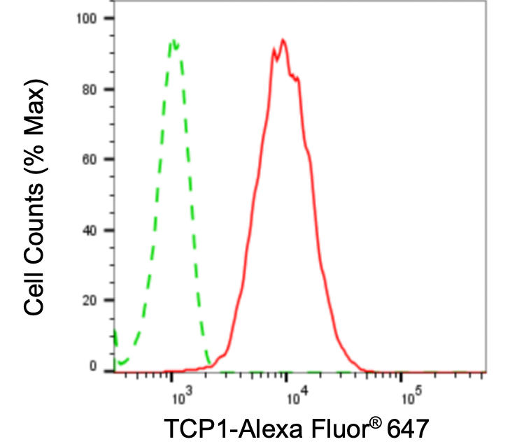 [KD Validated] Anti-TCP1 Rabbit mAb [65C12C68]