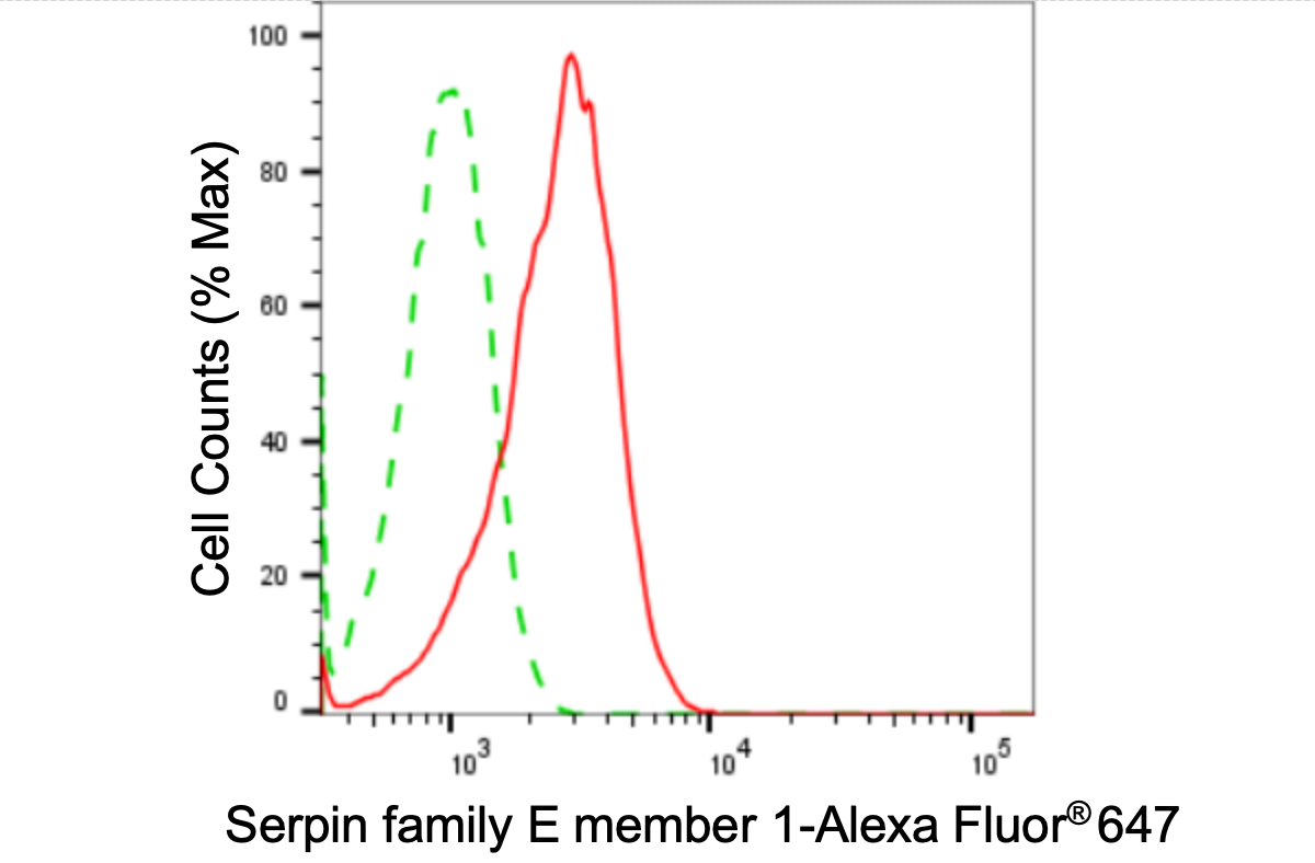 [KD Validated] Anti-SERPINE1 Rabbit mAb [25J41M41]