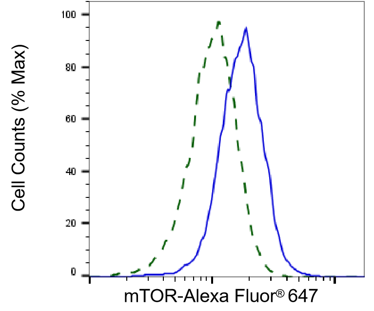 [KD Validated] Anti-MTOR Rabbit mAb [11D16G53]