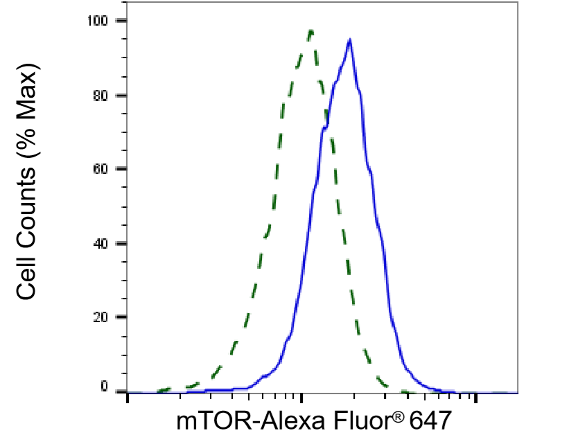 [KD Validated] Anti-MTOR Rabbit mAb [11D16G53]