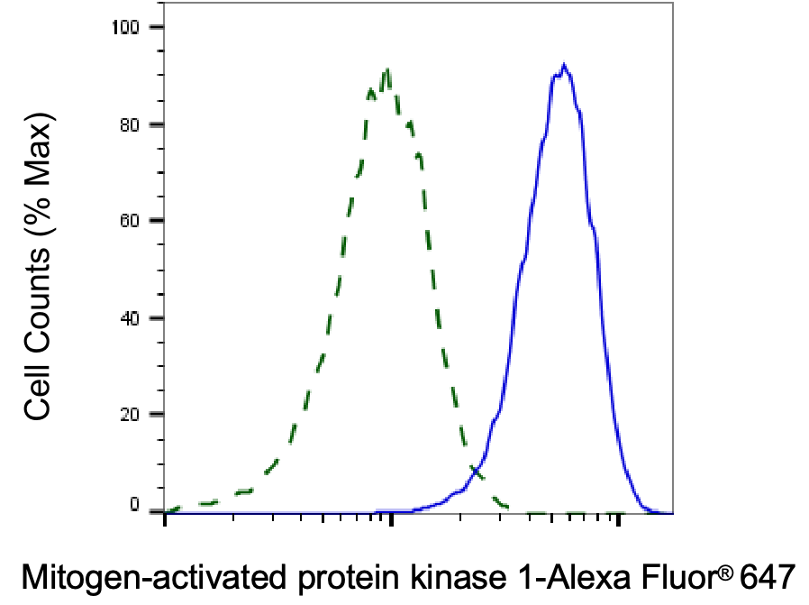 [KD Validated] Anti-MAPK1 Rabbit mAb [22D17E75]