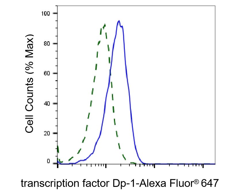 [KD Validated] Anti-TFDP1 Rabbit mAb [51N72B41]