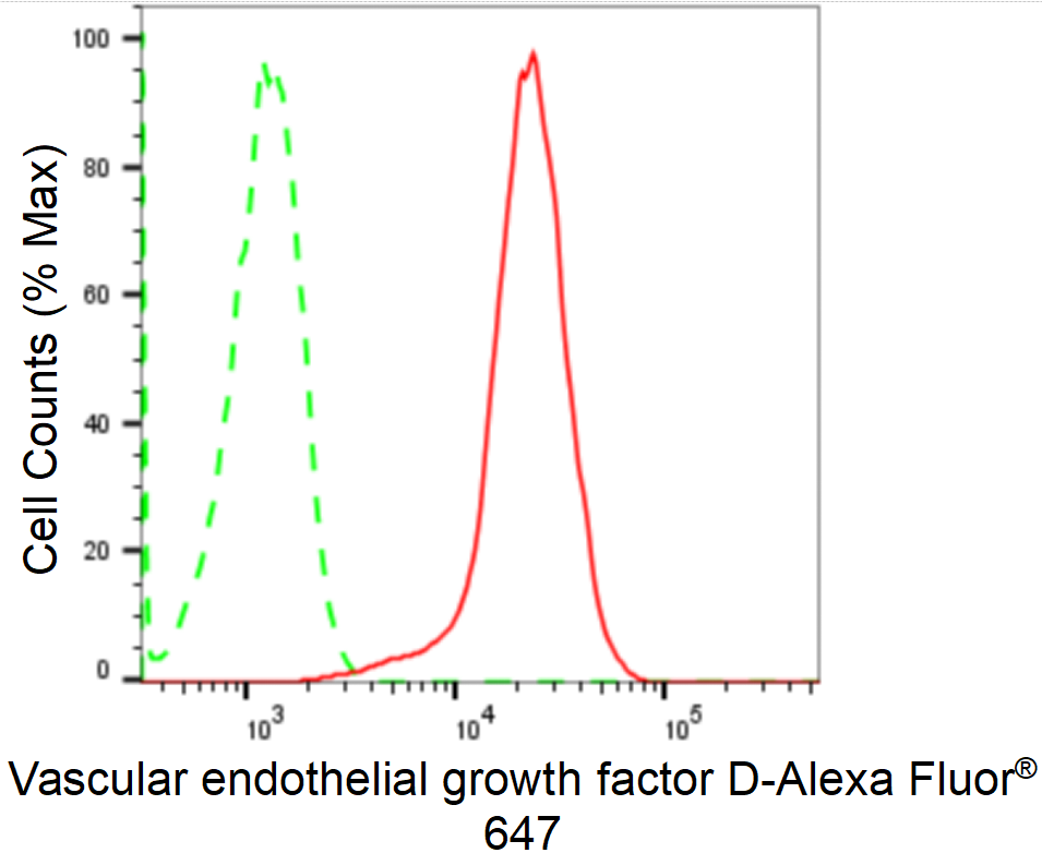 [KD Validated] Anti-VEGFD Rabbit mAb [36S60E87]